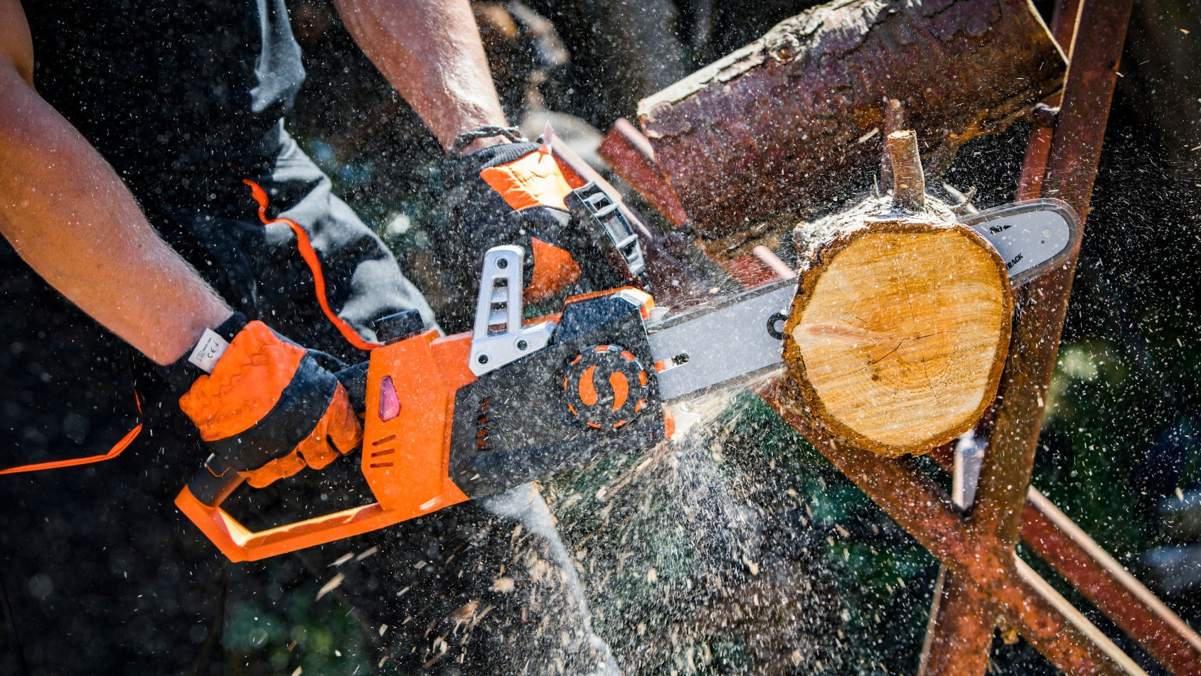 Saws and Shears