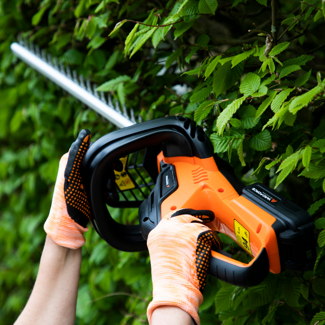 The Complete Garden Starter Kit